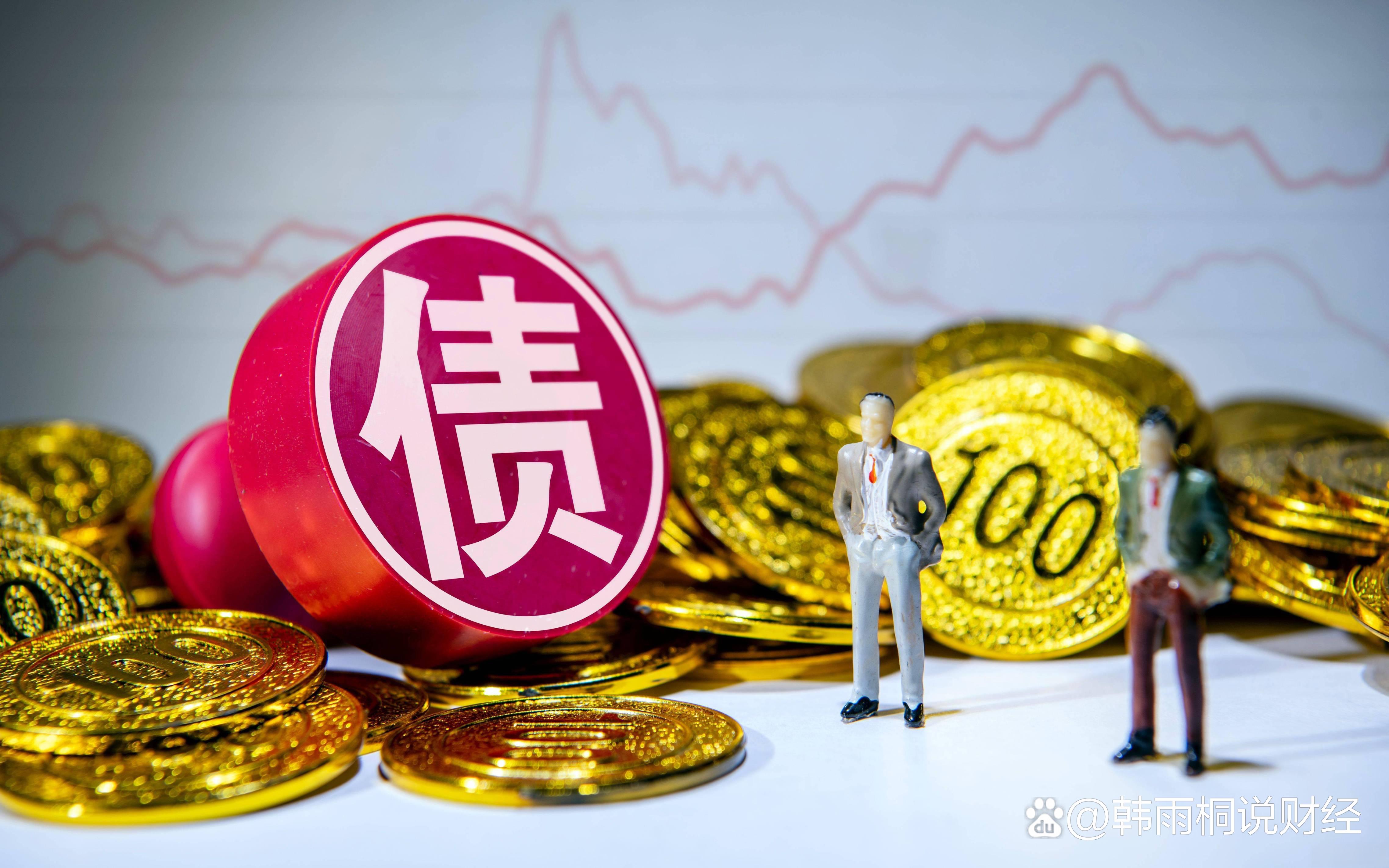 再融资信息披露(再融资信息披露的目的)