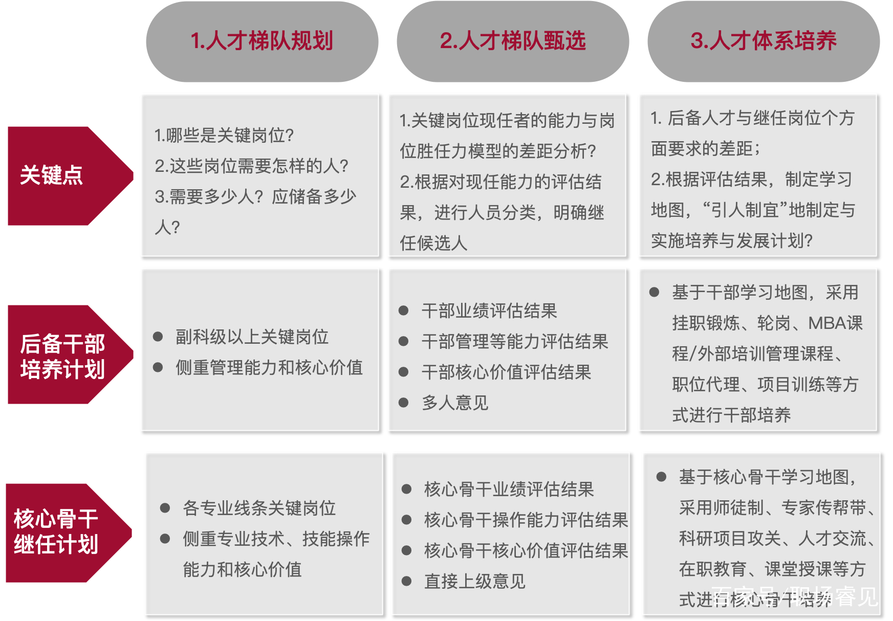 人才梯队建设咨询(人才梯队建设方案步骤)