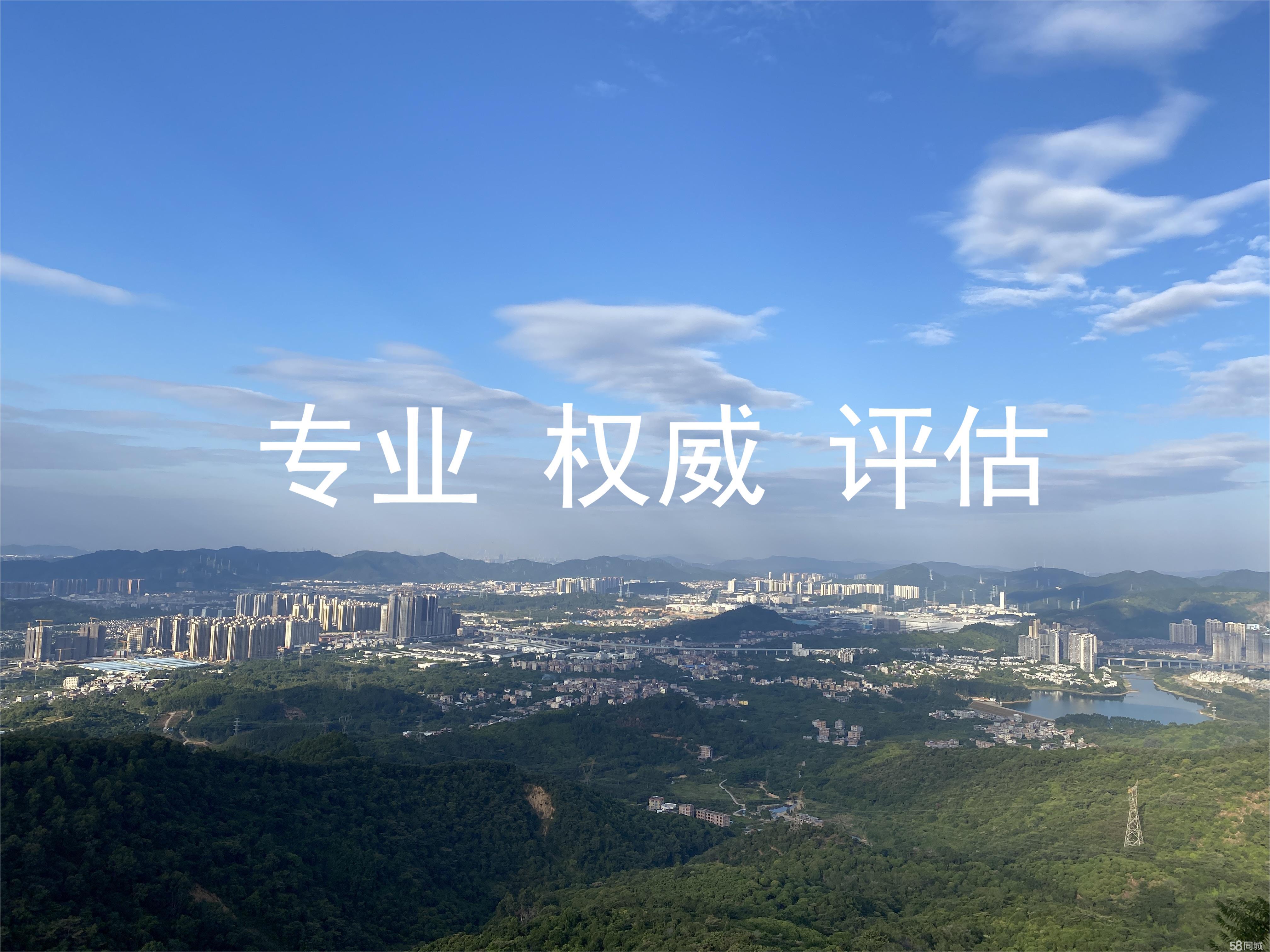 产业基金评估服务(产业基金评估服务管理办法)