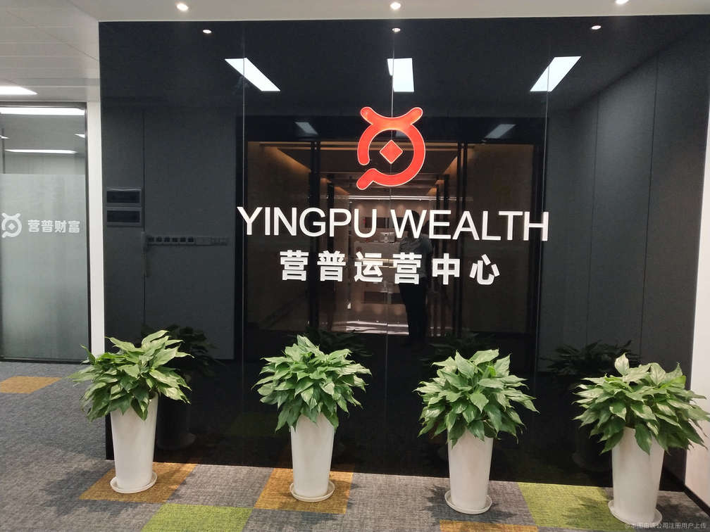 资本运营咨询服务(资本运营公司属于什么行业)