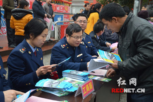 消费咨询落地执行(消费咨询落地执行方案)