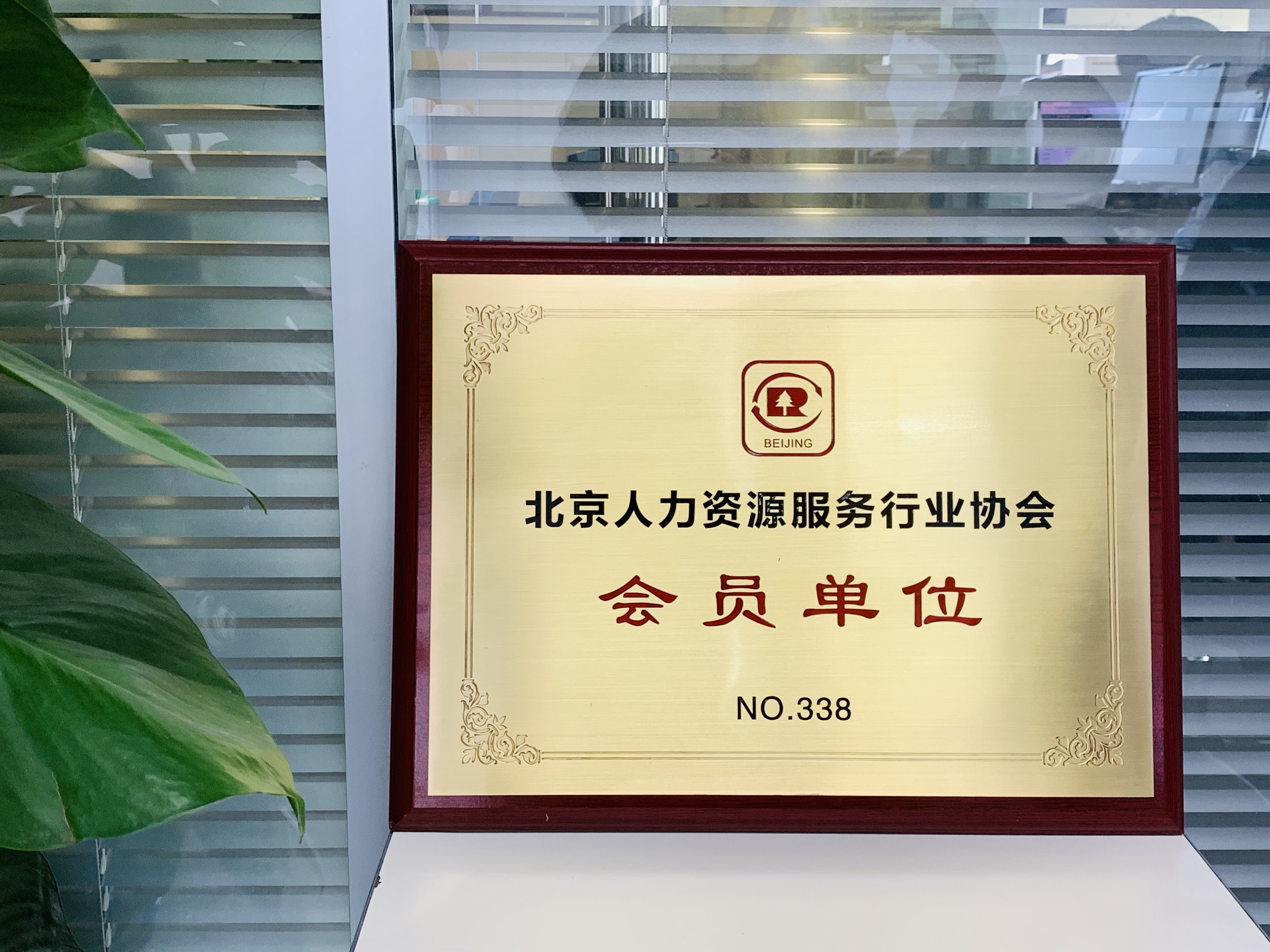 挂牌上市辅导服务(上市辅导备案是不是快上市了)