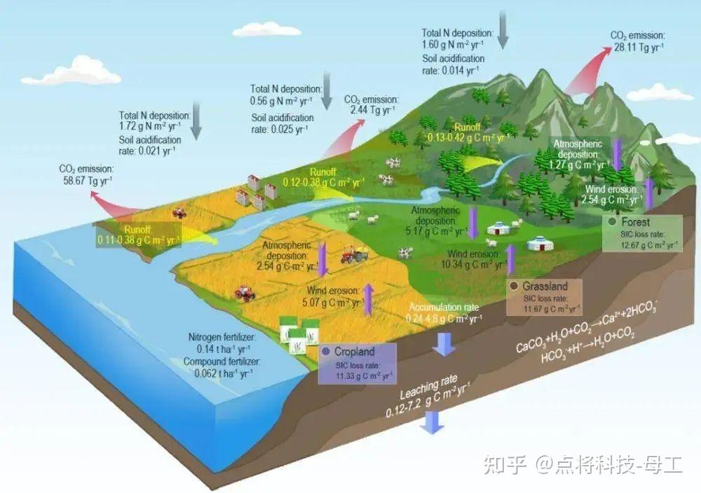碳中和路径规划(中国碳中和的路径规划)