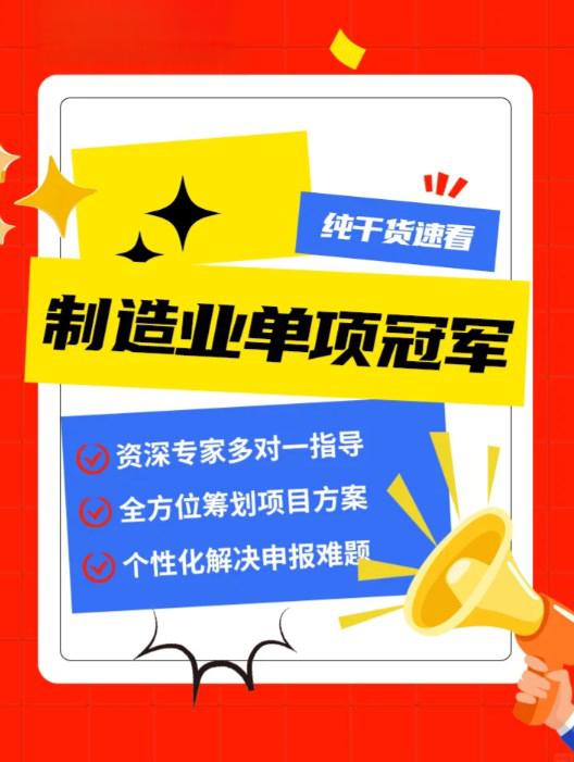 单项冠军申报辅导(单项冠军是什么意思)