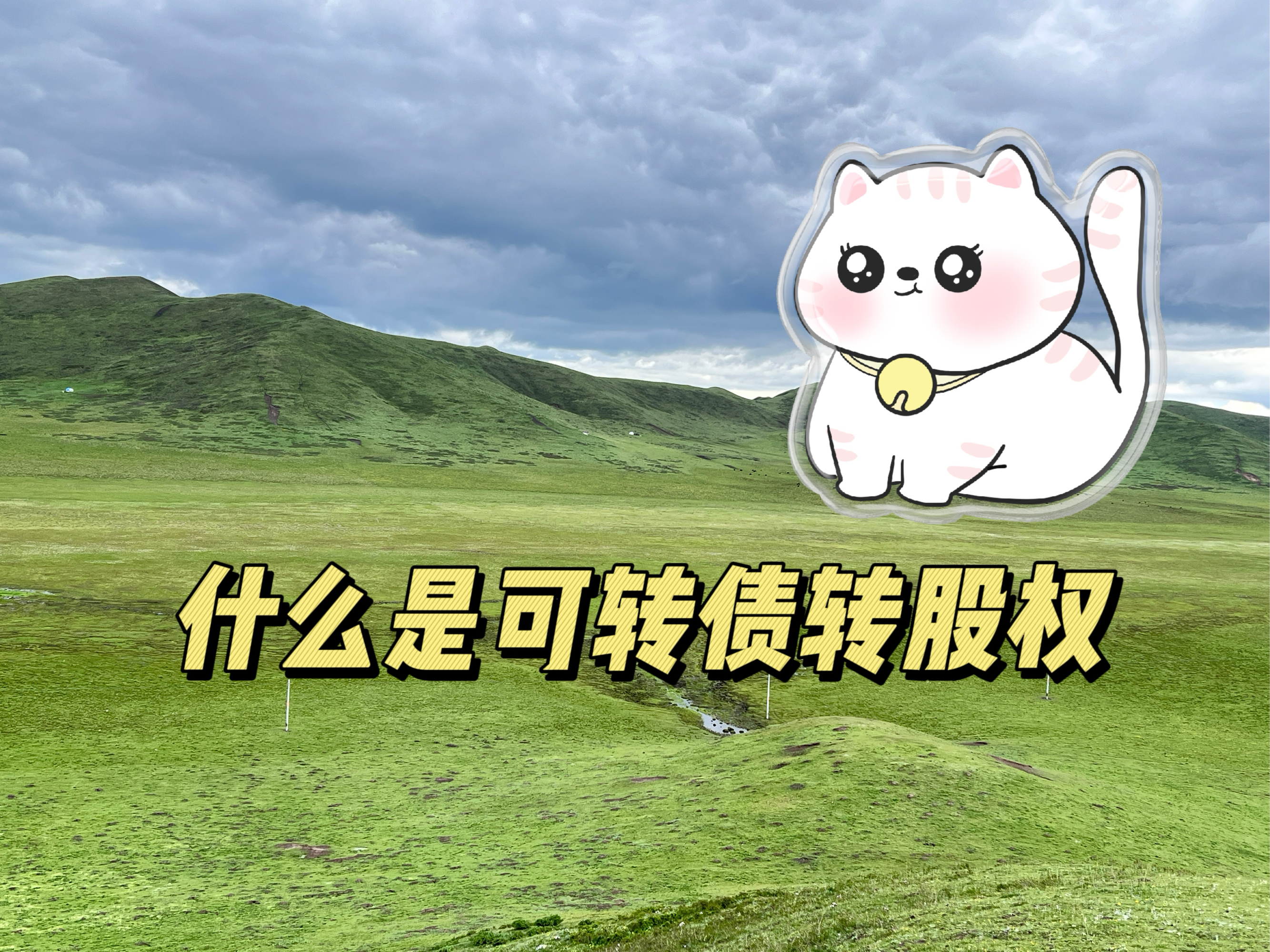债转股退出设计(债转股可以撤销吗) 债转股退出设计(债转股可以撤销吗)
