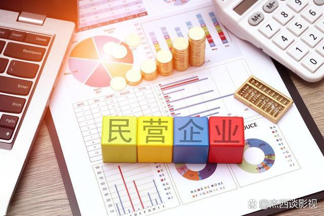 民营企业资本规划(民营企业资本规划包括哪些)