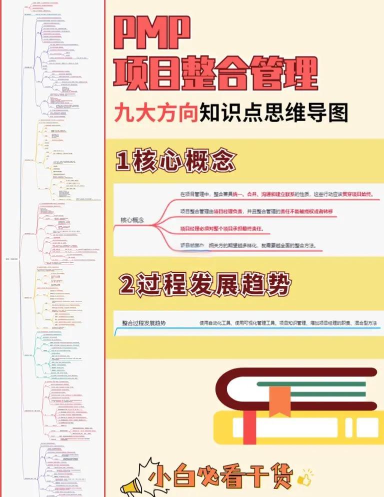 整合项目管理服务(项目整合管理的主要工作是) 整合项目管理服务(项目整合管理的主要工作是)