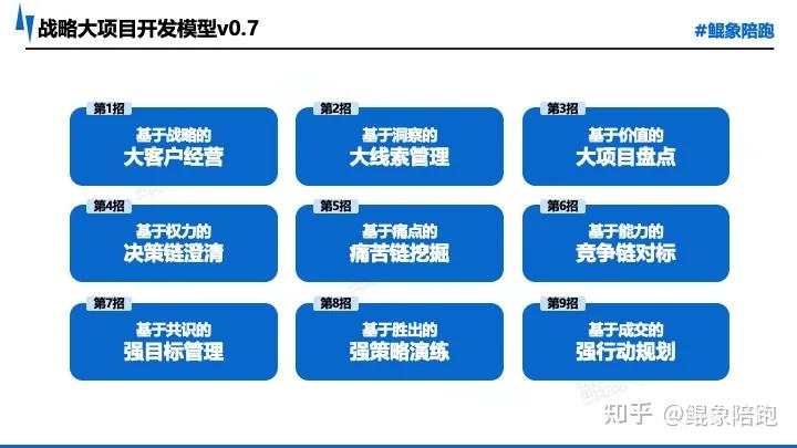 战略执行陪跑服务(战略执行官是什么意思)