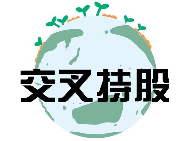 交叉持股安排设计(交叉持股怎么计算持股比例)