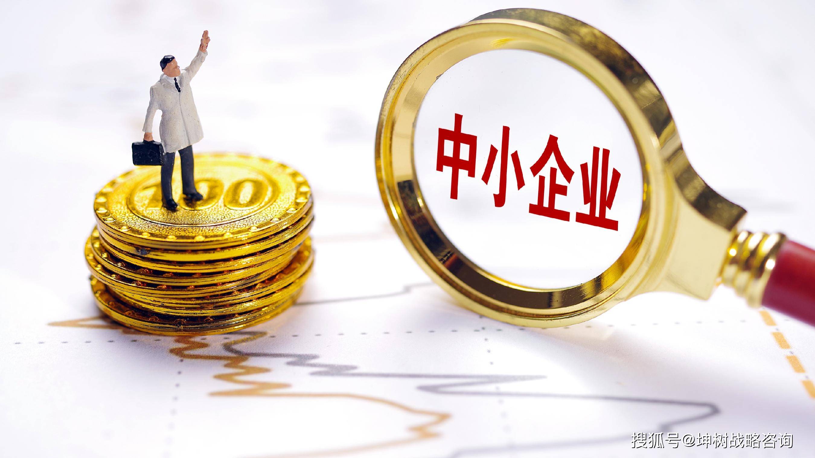 中小企业战略咨询(中小企业战略发展研究)