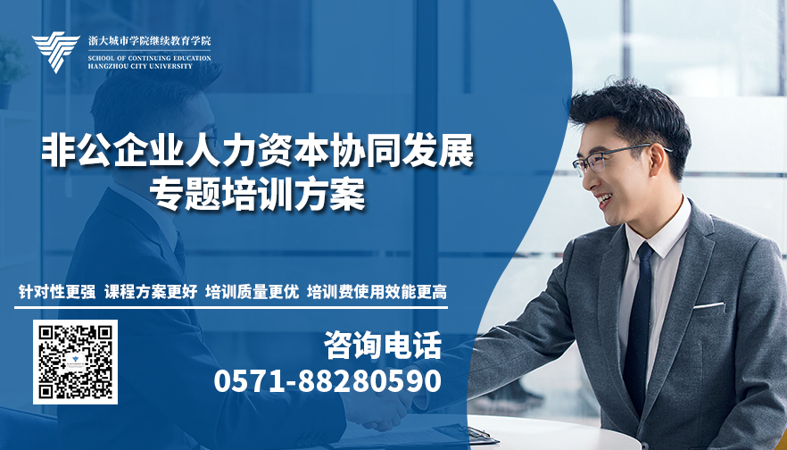 资本服务定制方案(资本服务定制方案设计)