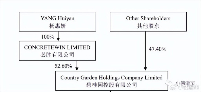 股权架构设计重组(股权架构设计方案与组织架构)