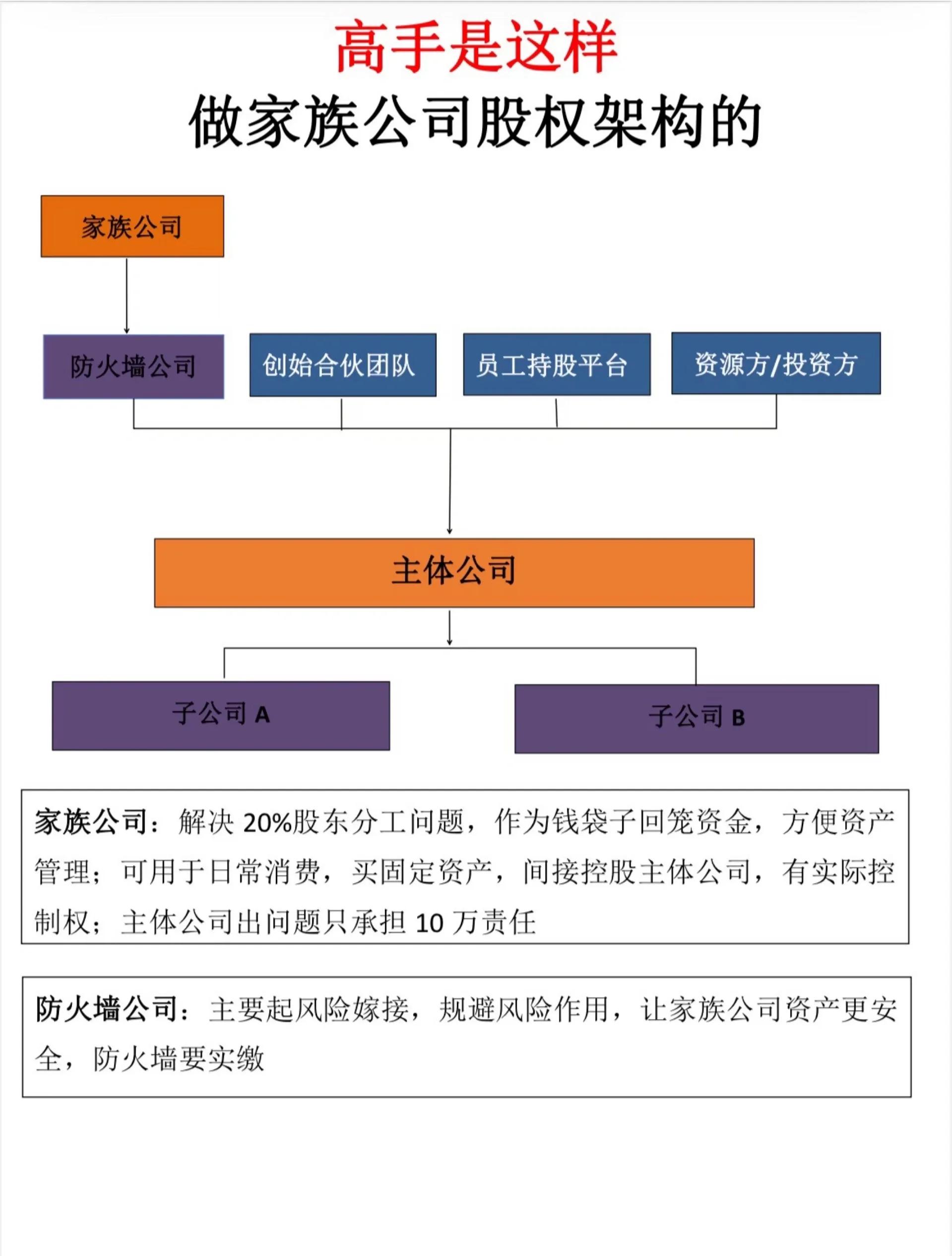 股权顶层架构设计(股权顶层架构设计图)
