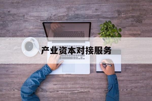 产业资本对接服务(产业资本对接服务包括哪些)