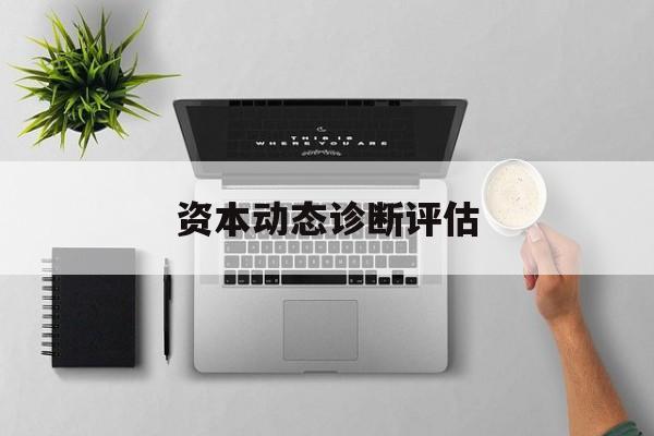 资本动态诊断评估(资本动态诊断评估方法) 资本动态诊断评估(资本动态诊断评估方法)