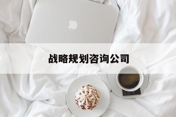 战略规划咨询公司(企业战略发展规划咨询公司)