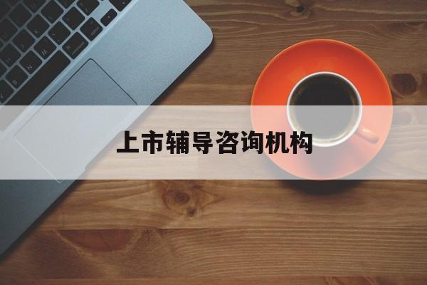 上市辅导咨询机构(辅导公司上市的机构)