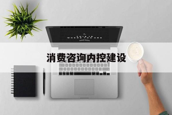 消费咨询内控建设(消费咨询内控建设工作总结)