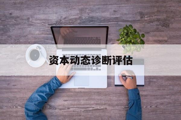 资本动态诊断评估(资本资产定价模型定义)